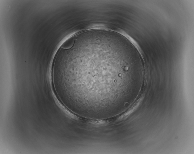 X0000112070957200908041231