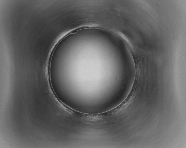 X0000112070959200908041231