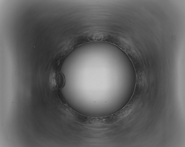 X0000112070962200908041231