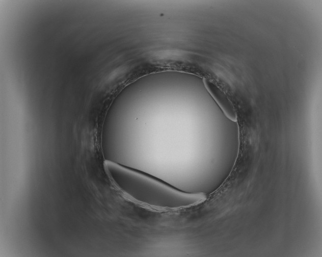 X0000112070965200908041231