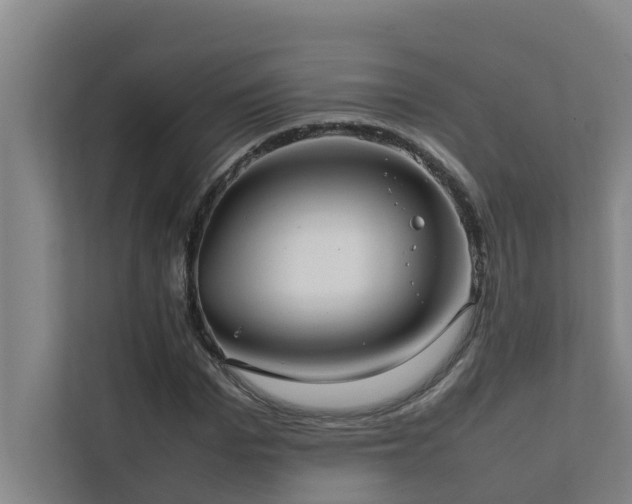 X0000112070969200908041231