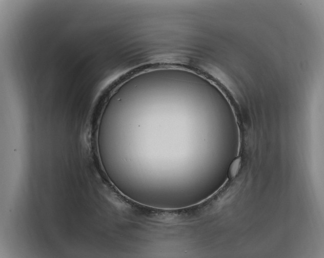 X0000112070971200908041231