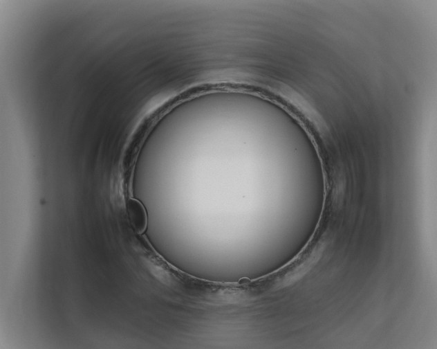 X0000112070974200908041230