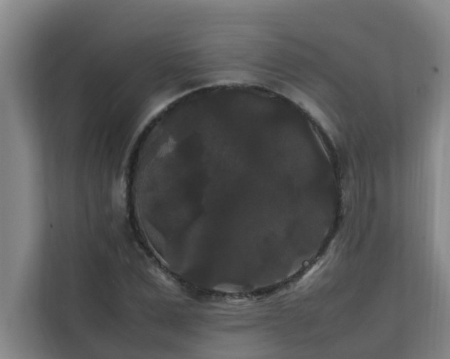 X0000112070975200908041230