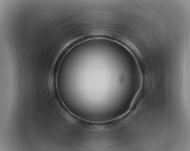 X0000112070976200908041230