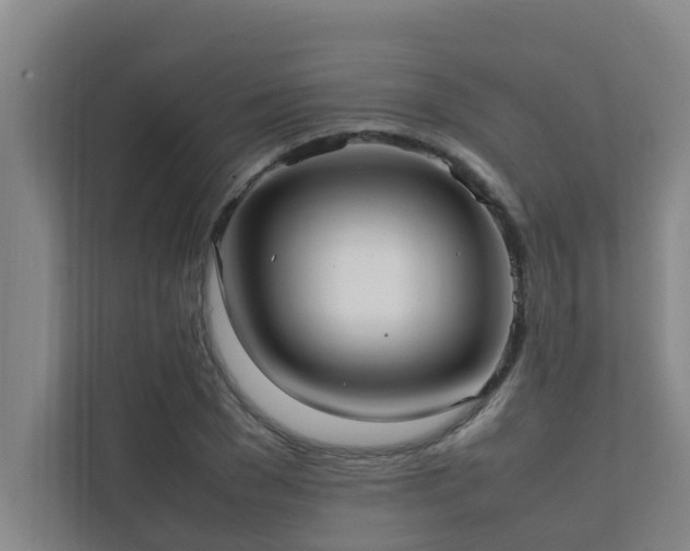 X0000112070977200908041230
