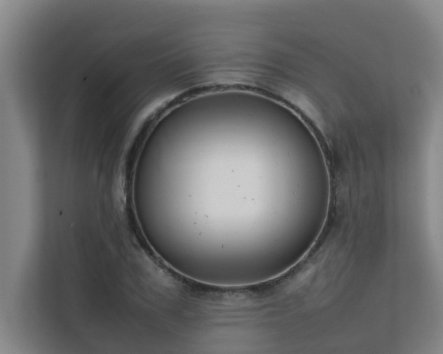 X0000112070979200908041230