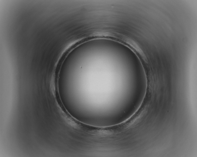 X0000112070984200908041230