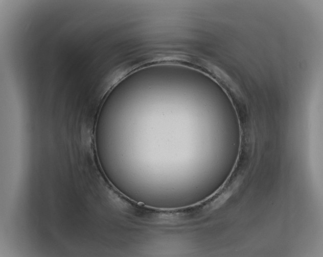 X0000112070985200908041230