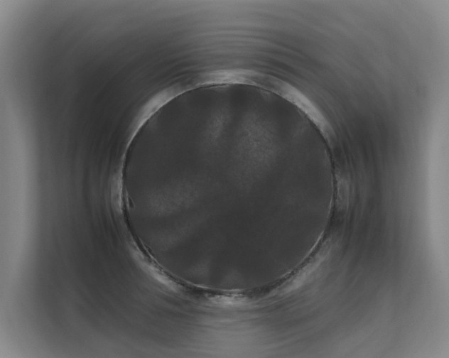 X0000112070994200908041230