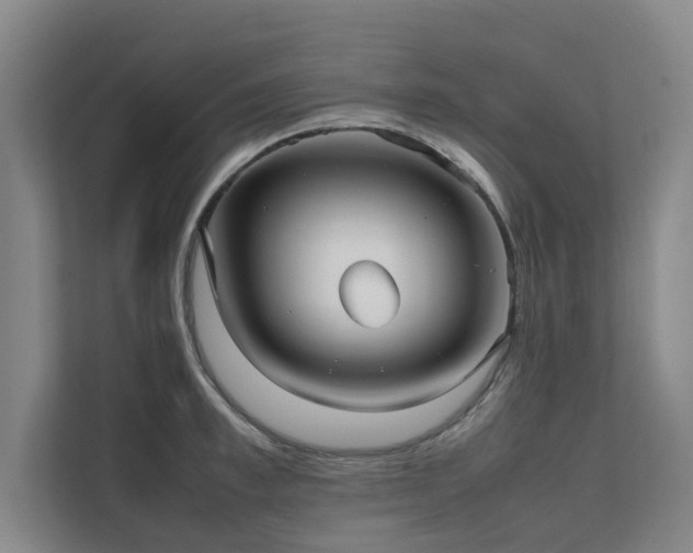 X0000112070997200908041230