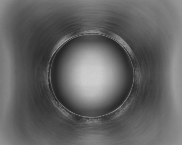 X0000112071002200908041230