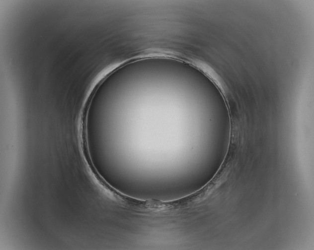 X0000112071003200908041230
