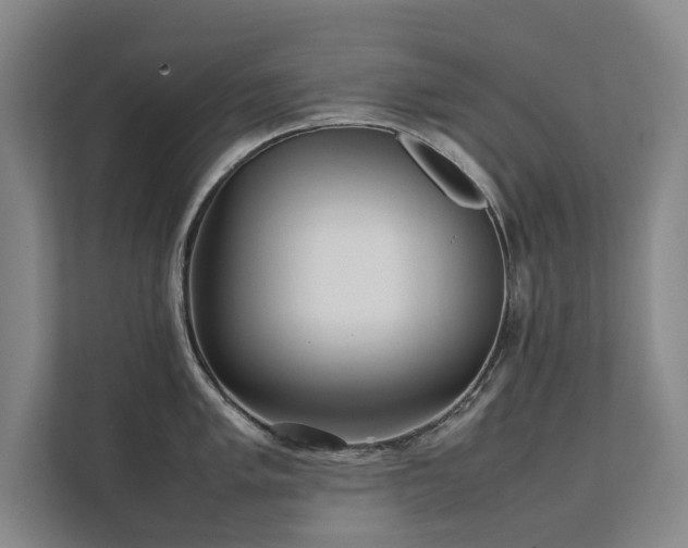 X0000112071005200908041230