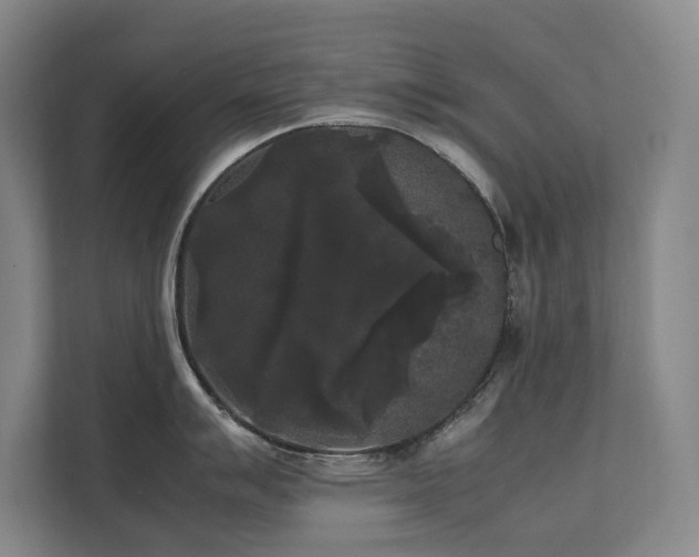 X0000112071007200908041230