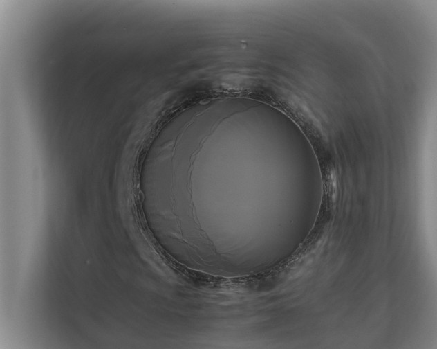 X0000112071009200908041229