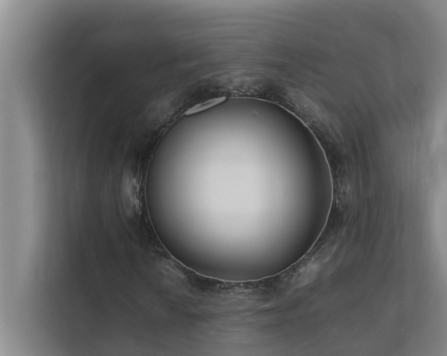 X0000112071010200908041229