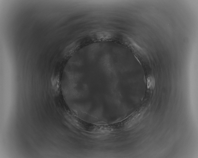 X0000112071011200908041229