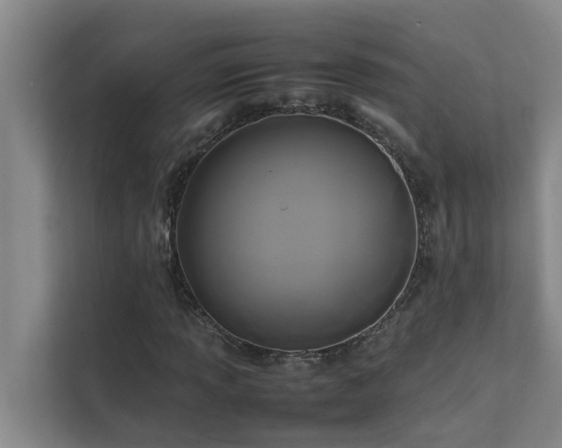 X0000112071013200908041229