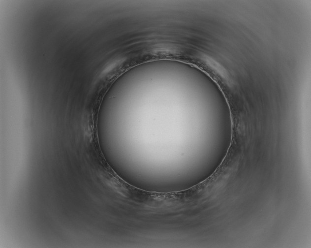 X0000112071015200908041229