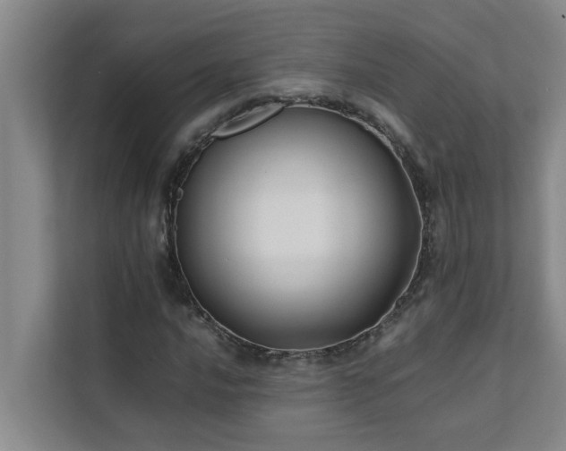 X0000112071016200908041229