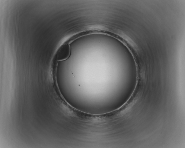 X0000112071022200908041230
