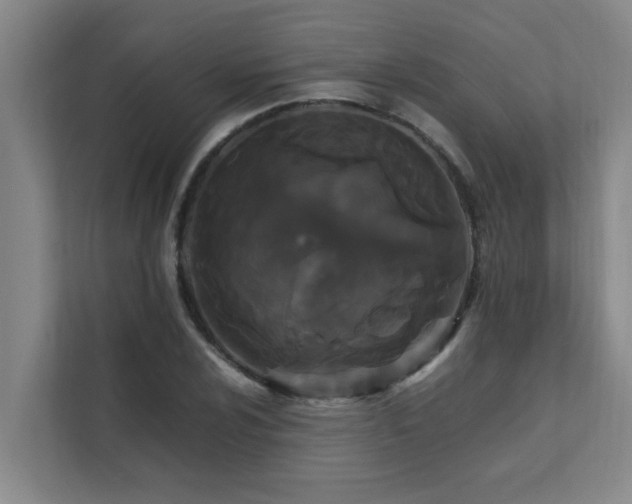 X0000112071024200908041230