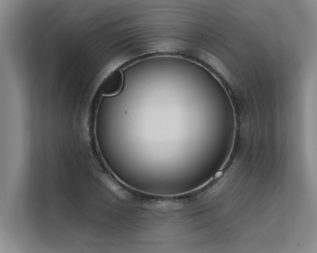 X0000112071026200908041230