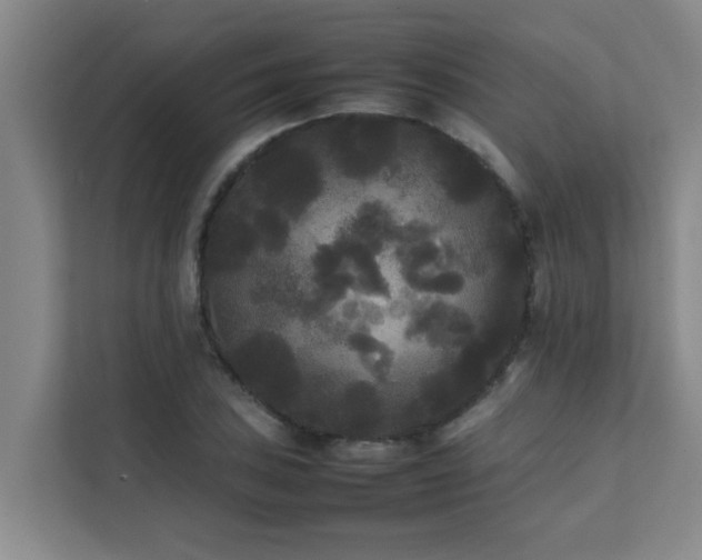 X0000112071027200908041230