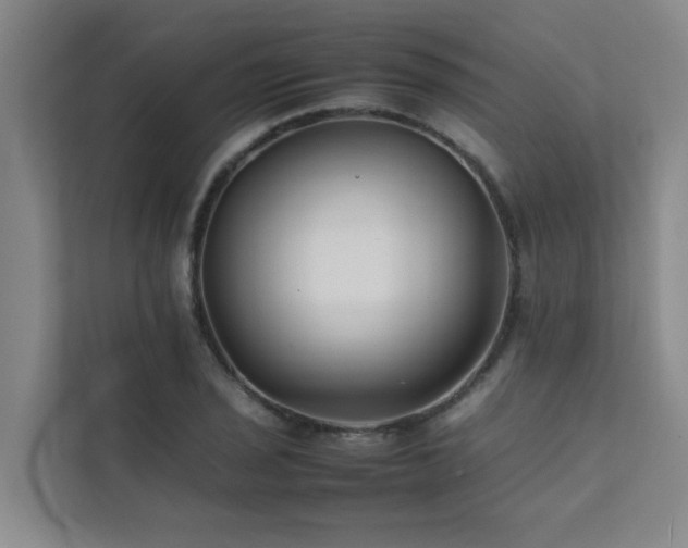 X0000112071029200908041230
