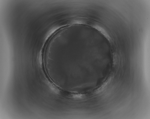 X0000112071031200908041230