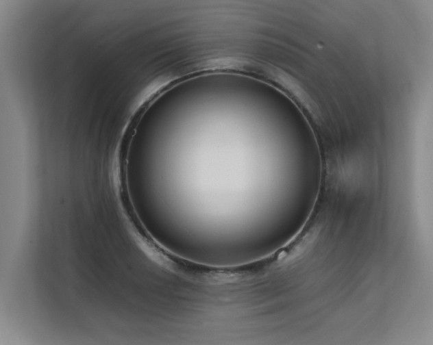 X0000112071034200908041230
