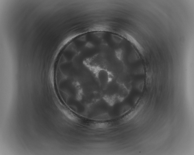 X0000112071035200908041230