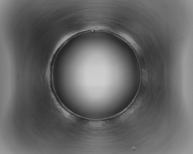 X0000112071046200908041230