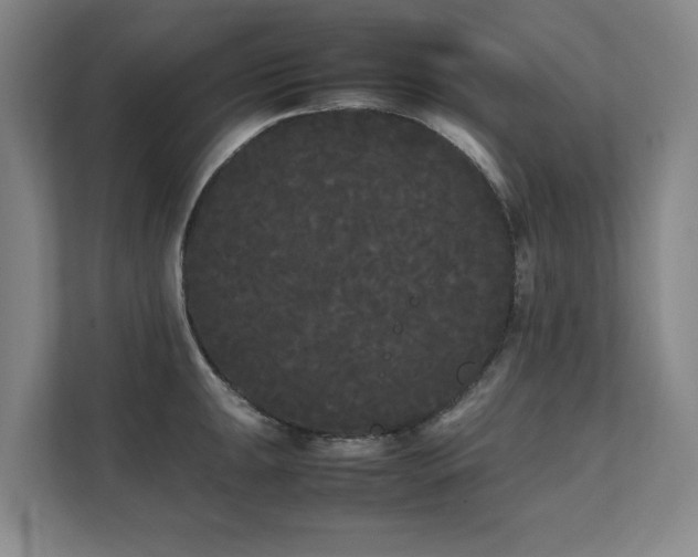 X0000112071047200908041230