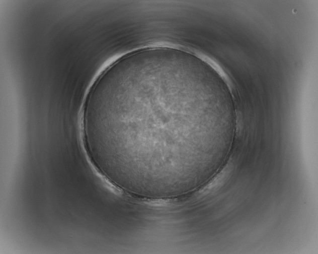X0000112071048200908041230