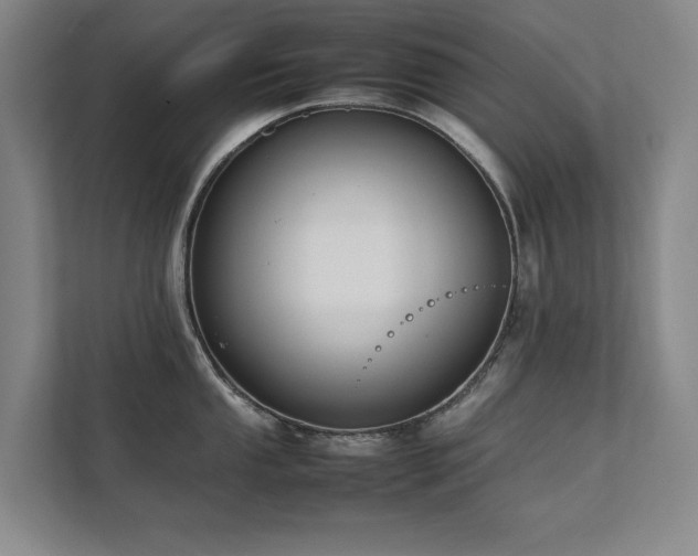 X0000112071053200908041230