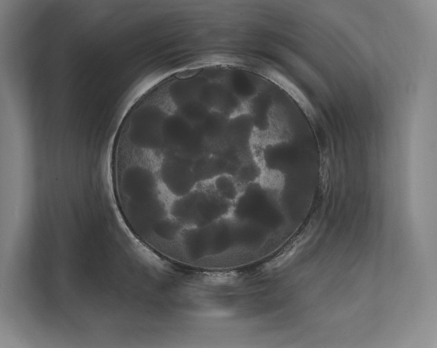 X0000112071055200908041230