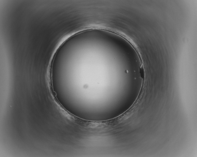 X0000112071056200908041230