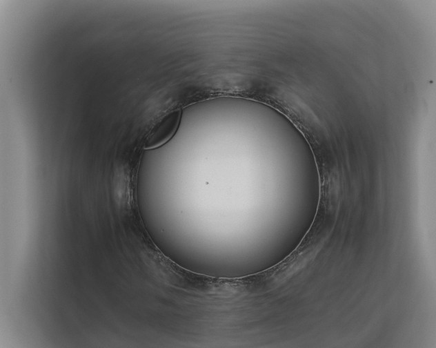 X0000112071058200908041229