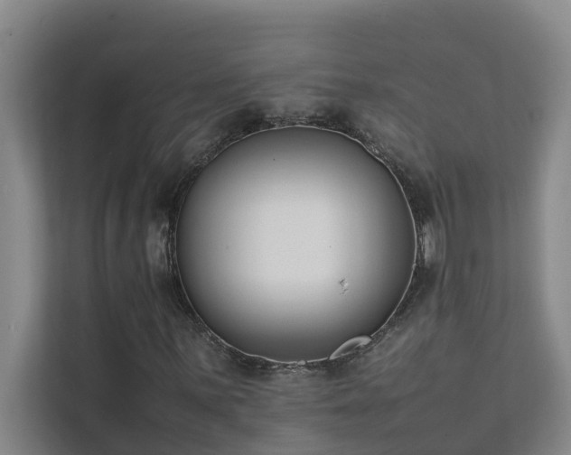 X0000112071059200908041229