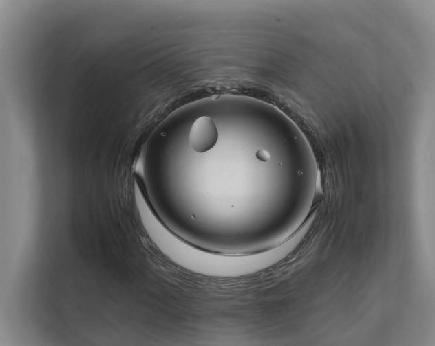 X0000112071060200908041229
