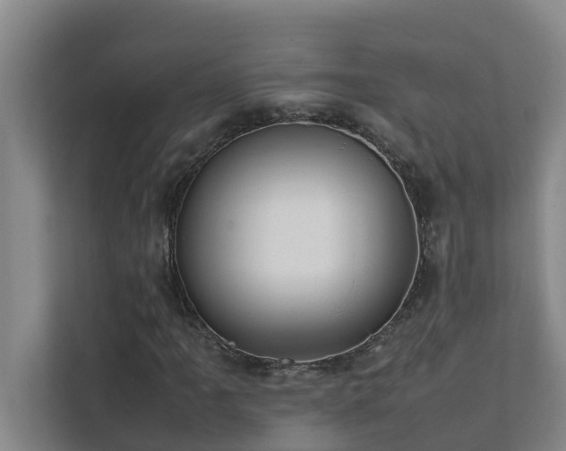 X0000112071061200908041229