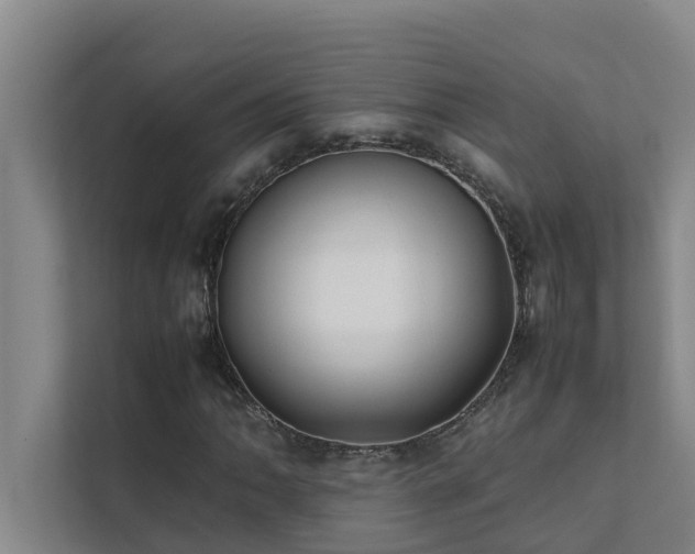 X0000112071062200908041229