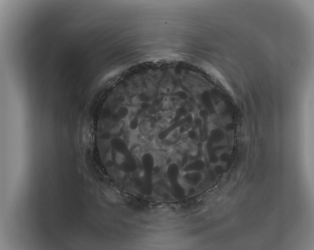 X0000112071063200908041229