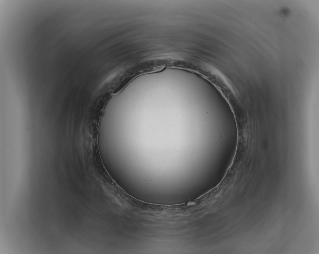 X0000112071064200908041229