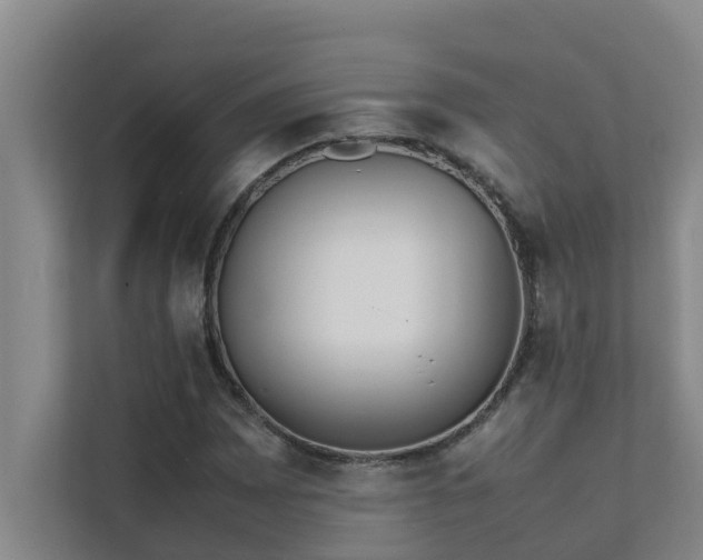 X0000112071065200908041229