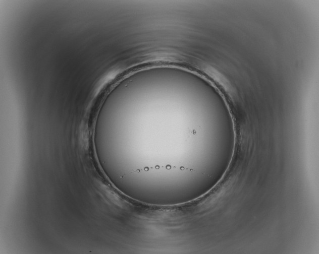 X0000112071067200908041229