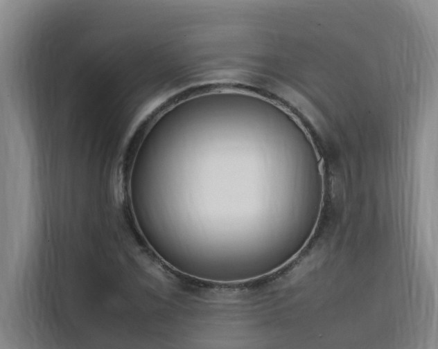 X0000112071069200908041229