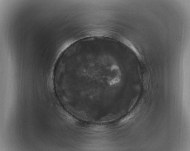 X0000112071071200908041229